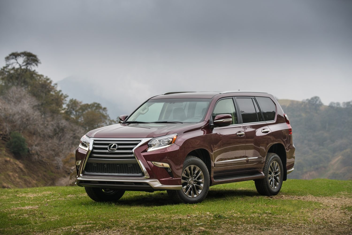 2017 Lexus GX 460, photo 3
